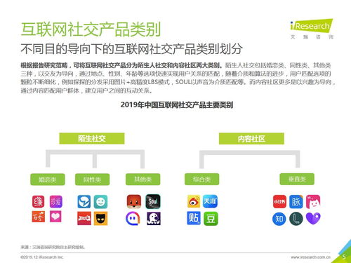 2019年中國(guó)互聯(lián)網(wǎng)社交企業(yè)營(yíng)銷(xiāo)策略與網(wǎng)絡(luò)信息安全軟件開(kāi)發(fā)白皮書(shū)